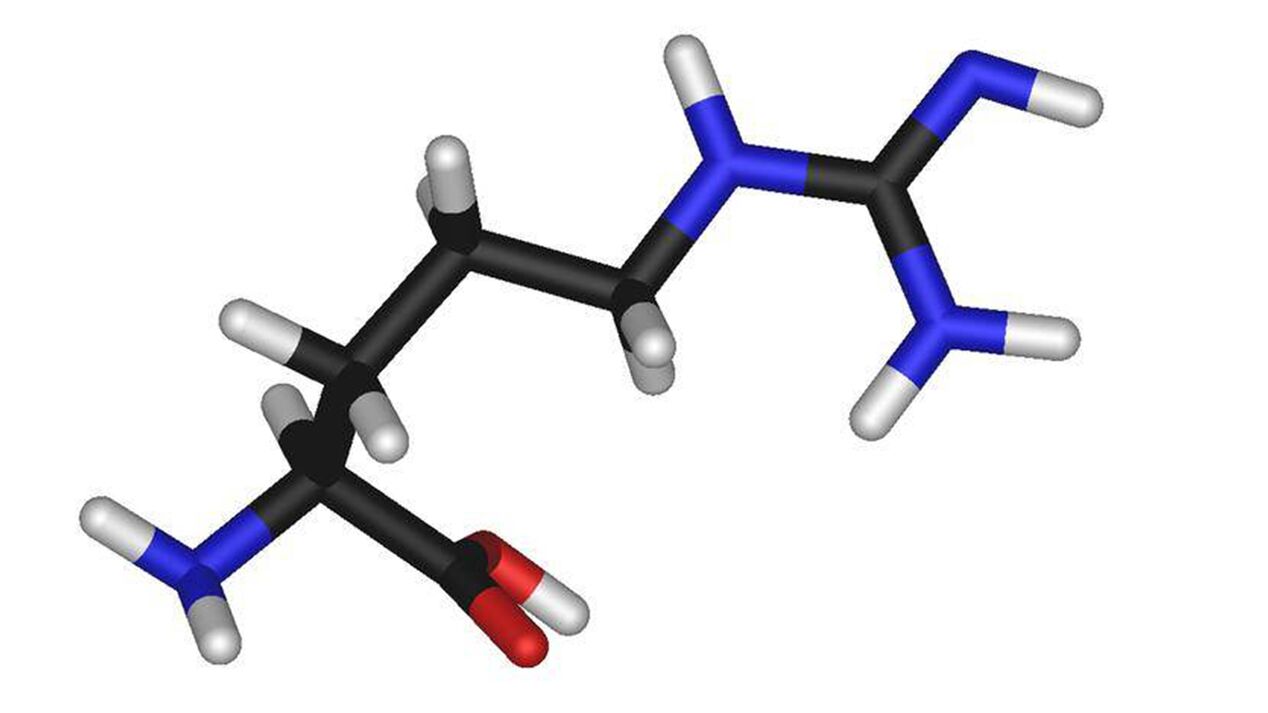 Schematic diagram of L-arginine component+